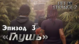 Прохождение Life is strange 2. ЭПИЗОД 3 - ГЛУШЬ. ЛАГЕРЬ в ЛЕСУ, РАБОТА, ПЕРВЫЙ СЕКС и ОГРАБЛЕНИЕ.