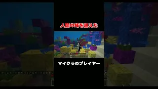 マイクラのプレイヤーの身体能力は？（やっぱり人間超えててワロタ）#shorts 　#minecraft