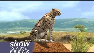 Afrika - Cheetah's hunting