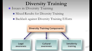 Diversity Management Lecture