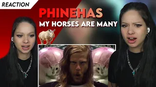 FIRST REACTION - Ich reagiere auf Phinehas "My Horses are many"!