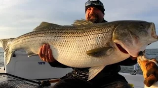 ONE REALLY BIG STRIPER! Striped Bass fishing Chesapeake bay  GIANT STRIPER 2016