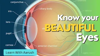 Know parts of your beautiful Eyes.. #learn #learning  #science #sciencefacts #body #kids #school