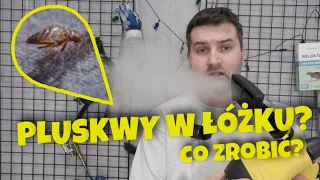 JAK POZBYĆ SIĘ PLUSKIEW Z ŁÓŻKA? #odpluskwianie #zwalczanie #pluskwy #pogromca