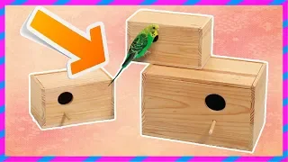 How to make a nest for the parrot. Nest for the parrot with your own hands