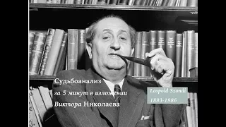 Судьбоанализ Сонди за 5 минут