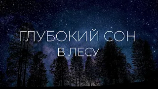 Ночные звуки, Лес, Сверчки,  Музыка для сна и релакса.