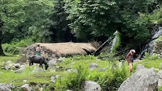 Naturally Most Beautiful People In Nepali Village | Organic Nepali Mountain Village Life | IamSuman