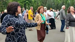 ЧАРІВНА МОЯ СМЕРЕКО! ТАНЦЫ В ХАРЬКОВЕ 2024 #retrodancing