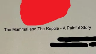 The Mammal and The Reptile - A Painful Story