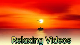 Relaxing Sleep Music • Deep Sleeping Music, Relaxing Music, Stress Relief, Meditation Music#1