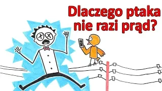 Dlaczego ptaków, siedzących na przewodach elektrycznych, nie razi prąd?