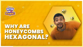 Why Are Honeycombs Hexagonal? How Do  Bees Build Hexagonal Honeycombs | Now We Know - BYJU'S