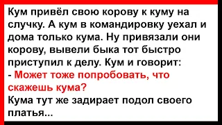 Кум предложил куме попробовать... Анекдоты! Юмор! Позитив!