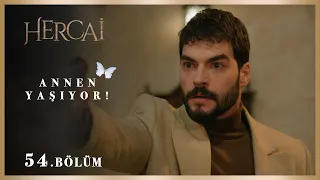 Miran gerçekleri öğreniyor! - Hercai 54.Bölüm