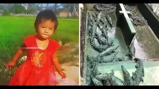 Girl eaten alive by crocs| CCTV English
