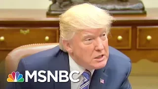 Language Expert: Donald Trump's Way Of Speaking Is 'Oddly Adolescent' | The 11th Hour | MSNBC