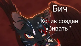 Коты воители (бич) ~ ,, Котик создан убивать" ~ Клип