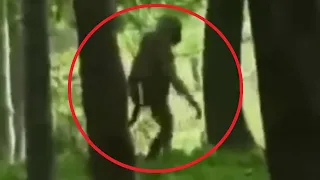 5 Yeti Caught on Camera & Spotted in Real Life