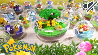 ASMR Pokemon Terrarium Collection 5 , 4 , 3 and Pokémon Center Japan Limited Terrarium ポケモン テラリウム