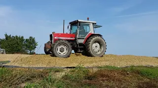 Massey Ferguson 3080 Czarnocin ugniatanie kukurydzy 2018. Cz 2