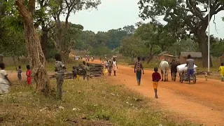 Central African Republic peanut farmers decry armed groups