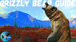 Grizzly Bear Guide! Where To Find Zones, Best Guns + More! TheHunter Call Of The Wild (Updated 2024)
