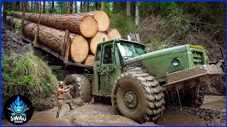 50 EXTREME Dangerous Biggest Wood Logging Truck  Operator Skill Working At Another Level