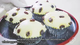 Automatic Cake Making Machine for Small Business