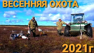 🏕Весенняя Охота 2021г.Восемь дней живем с Батей на болоте.Такой охоты у нас еще не было.