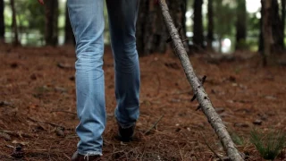 MURDER IN THE FOREST - [Short Film]