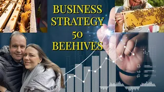 50 beehives in 4 months | The business plan! | PT4