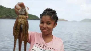 Mayotte, la mer buissonnière (documentaire)