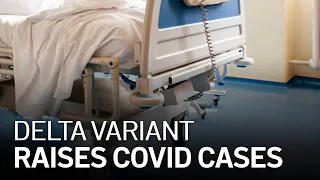 ‘Beds are Filling Up': Delta Variant Drives COVID-19 Cases Higher and Higher