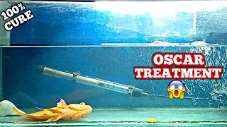 How to cure almost die Oscar 😱 / Save Oscar Fish / How to save fish for dying