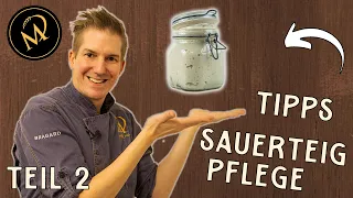 Meine Tipps zum Pflegen von Sauerteig - Sauerteig Starter richtig auffrischen