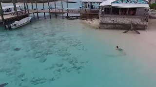 Un bambino alle Bahamas si salva da un attacco di squali