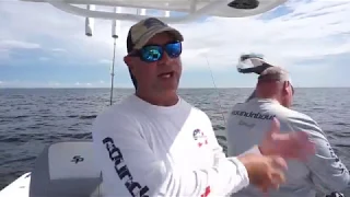 Grouper and Snapper Fishing and Bait Talk in Tampa Bay