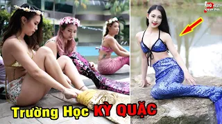 🔥 9 Trường Học Kỳ Lạ Và Đặc Biệt Nhất Trên Thế Giới Khiến Hàng Triệu Người Sốc Nặng Khi Nhìn Thấy