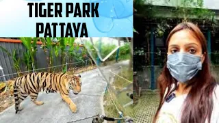 Vlog 5.5 Pattaya Tiger Park Pattaya Thailand | A must visit place in Pattaya | Pattaya Vlog |