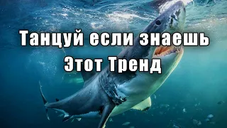 🐋Танцуй если знаешь этот тренд🦈ТРЕНДЫ 2024🐋