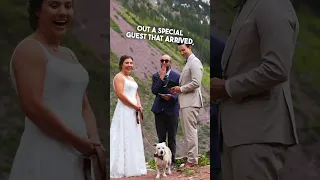 They had an unexpected guest at their wedding 😱