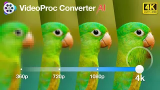 400% AI Video Upscale! Enjoy Your Footage at Crisp 4K Quality