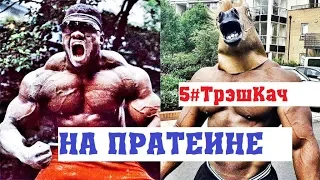 5#ТрэшКач - НА ПРАТЕИНЕ, ИДИОТЫ В КАЧАЛКЕ, ПРИКОЛЫ В ЗАЛЕ, ПОДСНЕЖНИКИ