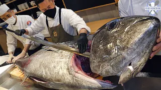 WOW! 110KG Raw Tuna Dismantling Show by Korea's Top Tech Chef / Korean Tuna Restaurant