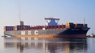 MSC JADE - Containership - Shipspotting Port of Felixstowe 13/2/23