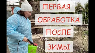 НЕ ПРОМОРГАЙТЕ! ПЕРВУЮ ВЕСЕННЮЮ  ОБРАБОТКУ САДА ОТ ВРЕДИТЕЛЕЙ И БОЛЕЗНЕЙ  ПОСЛЕ ЗИМЫ