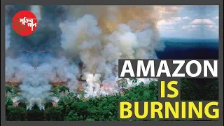 পুড়ছে অ্যামাজন | Amazon is Burning | Amazon Fire | Muktir Gaan