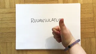 Ruuansulatus