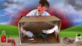 RAAD WAT ER IN DE DOOS ZIT! *HET LEEFT* (What’s in the Box CHALLENGE Creepy Horror Slime)